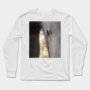 Giant Anteater Long Sleeve T-Shirt